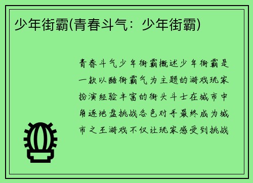 少年街霸(青春斗气：少年街霸)